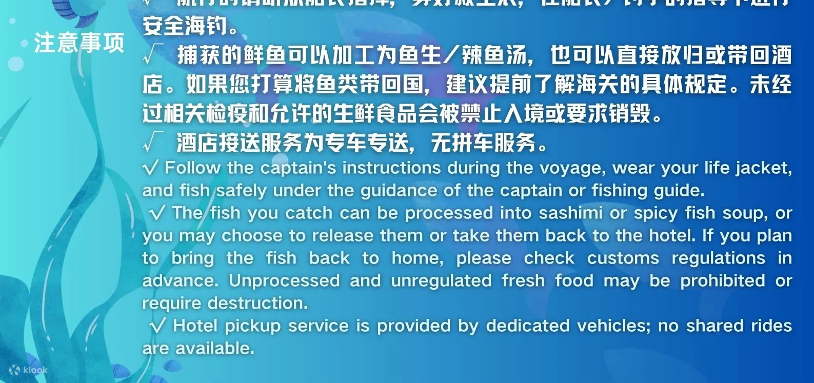 济州岛海钓之旅（含午餐）| 济州岛难忘的钓鱼之旅